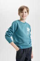 DEFACTO Boy Printed Crew Neck Thick Sweatshirt