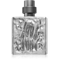 Cerruti 1881 Silver Eau de Toilette für Herren 100 ml