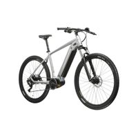 Horské elektrokolo Kross Hexagon Boost 3.0 29" Gen 004 L (20", 180-187 cm) stříbrná / černá / lesk