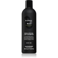 Alfaparf Milano Blends of Many Rebalancing šampon proti prhljaju 250 ml