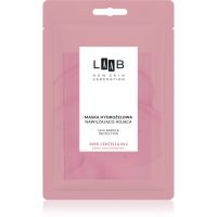 AA Cosmetics LAAB 100% Centella B12 Hydrogel-Maske mit feuchtigkeitsspendender Wirkung 1 St.