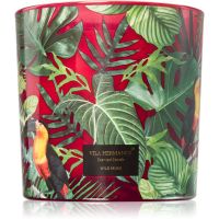 Vila Hermanos Jungletopia Wild Musk Duftkerze 620 g