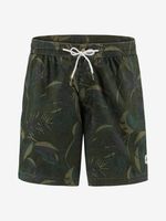 O'Neill Kamakou Shorts Grün