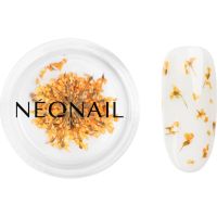 NEONAIL Dried Flowers сушен цвят за нокти цвят Orange 1 бр.