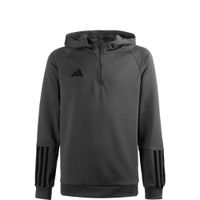 ADIDAS PERFORMANCE Sportska sweater majica 'Tiro 23 Competition'  tamo siva / crna
