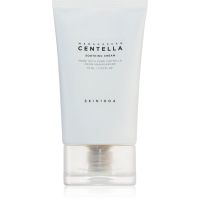 SKIN1004 Madagascar Centella Soothing Cream nährstoffreiche und beruhigende Creme für die Regeneration und Erneuerung der Haut 75 ml