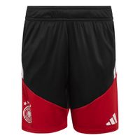 ADIDAS PERFORMANCE Sportske hlače 'Deutschland 26 Tiro'  crvena / crna / bijela