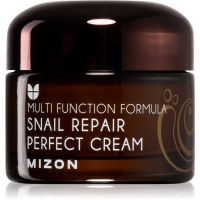 Mizon Multi Function Formula  Snail pleťový krém s filtrátom sekrétu zo slimáka 60% 50 ml