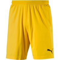 Puma FINAL evoKNIT GK Shorts Мъжки вратарски шорти, жълто, размер