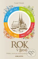 Rok v Brně (Příběhy, které jste možná prožili právě Vy) - kniha z kategorie Beletrie
