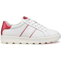 Geox D SPHERICA ECUB-1 A Дамски спортни обувки, бяло, размер
