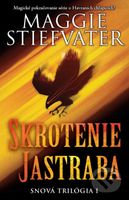 Skrotenie jastraba (Magické pokračovanie série o Havraních chlapcoch!) - kniha z kategorie Beletrie pro děti