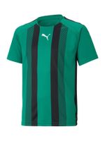 PUMA Tehnička sportska majica 'Team Liga'  zelena / crna / bijela