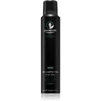 Paul Mitchell Awapuhi Wild Ginger Trockenshampoo-Schaum 195 ml