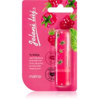 Regina Juicy Summer Raspberry mazilo za ustnice 4,5 g