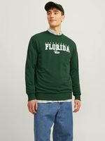 Jack & Jones Cory Sweatshirt Grün