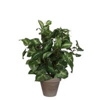 XXXL UMELÁ RASTLINA 35 cm