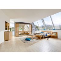 Dieter Knoll SPÁLŇA, farba duba