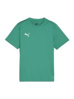 PUMA Tehnička sportska majica 'TeamGoal'  zelena / bijela