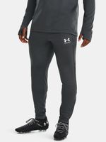 Under Armour UA M's Ch. Train Hlače siva