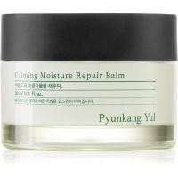 Pyunkang Yul Calming Moisture Repair Balm regenerierendes und feuchtigkeitsspendendes Balsam für empfindliche Haut 30 ml