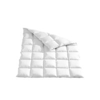 Sleeptex CELOROČNÍ PŘIKRÝVKA, 220/240 cm, peří, prachové peří