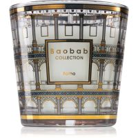 Baobab Collection My First Baobab Roma aроматична свічка 8 см