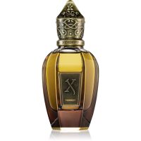 Xerjoff Tempest Parfüm Unisex 50 ml