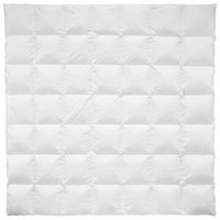 Billerbeck CELOROČNÁ PRIKRÝVKA, 200/200 cm, páperie