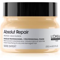 L’Oréal Professionnel Serie Expert Absolut Repair globinsko regeneracijska maska za suhe in poškodovane lase 250 ml