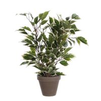 UMELÁ RASTLINA 40 cm