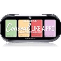 Essence CONCEAL like a PRO Palette mit Korrekturstiften 4 g