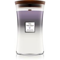 Woodwick Trilogy Amethyst Sky ароматна свещ с дървен фитил 609,5 гр.