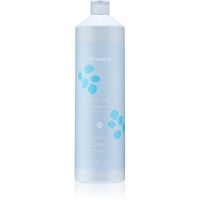 Echosline Volume Conditioner regenerator za volumen tanke kose i kose bez volumena 1000 ml