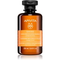 Apivita Shine and Revitalizing Shampoo revitalizačný šampón pre posilnenie a lesk vlasov 250 ml