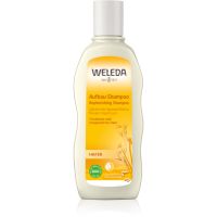 Weleda Oat regeneracijski šampon za suhe in poškodovane lase 190 ml