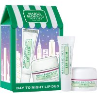 Mario Badescu Day to Night Duo darilni set (za ustnice)