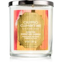 Bath & Body Works Calypso Clementine lumânare parfumată 227 g