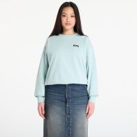 Bluza Patagonia W's Daily Crew Thin Ice L