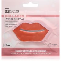 IDC Institute Collagen Hydrogel-Maske für die Lippen 6 g