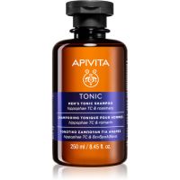 Apivita Men's Tonic Shampoo Rosemary Shampoo gegen Haarausfall 250 ml