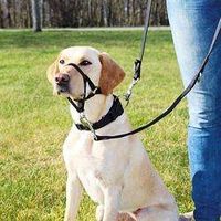 Trixie Top Trainer training harness, M, black