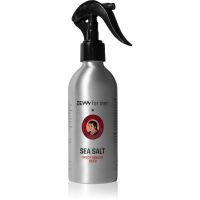 Zew For Men Sea Salt Thomas Henry Spicy Ginger slaný sprej pre mužov 240 ml