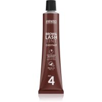 andmetics Professional Brow & Lash Tint farba na obočie a mihalnice odtieň Chestnut 20 ml