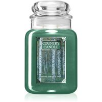 Country Candle White Birch & Rain ароматна свещ 737 гр.