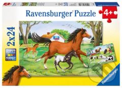 Svět koní - puzzle z kategorie Maxi dílky