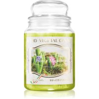 THD Vegetal Fiore E Muschio lumânare parfumată 600 g