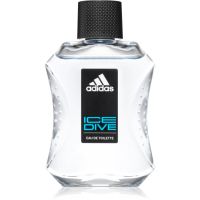 Adidas Ice Dive Eau de Toilette für Herren 100 ml