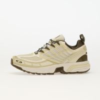 Sneakers Salomon Acs Pro Gtx Vanila/ Greenh/ Stoneg EUR 43 1/3