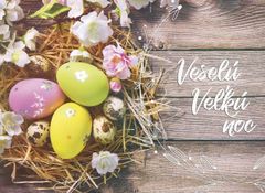 Vajíčka na dreve - Pohľadnica ALBI